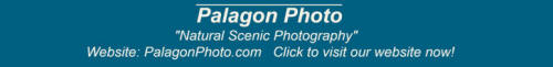 PALAGON PHOTO AD LINK